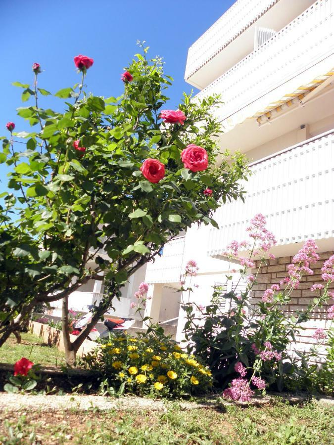 Apartments & Rooms Peranic Novalja Dış mekan fotoğraf